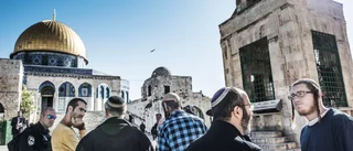 En mänsklig tragedi på flera plan återupprepas igen