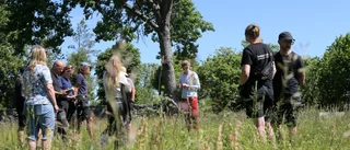 Här låter kyrkorna gräs och blommor växa höga