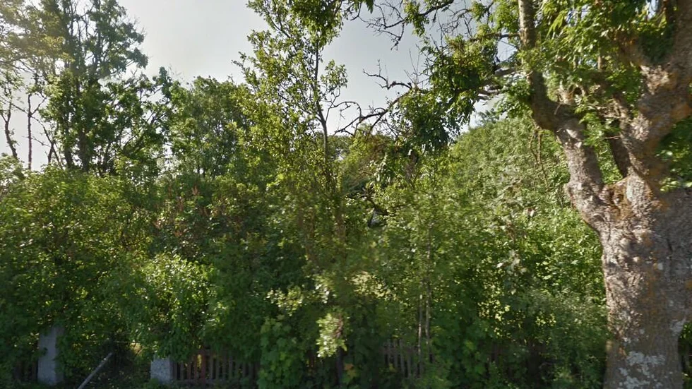 Hejdeby Annex 134