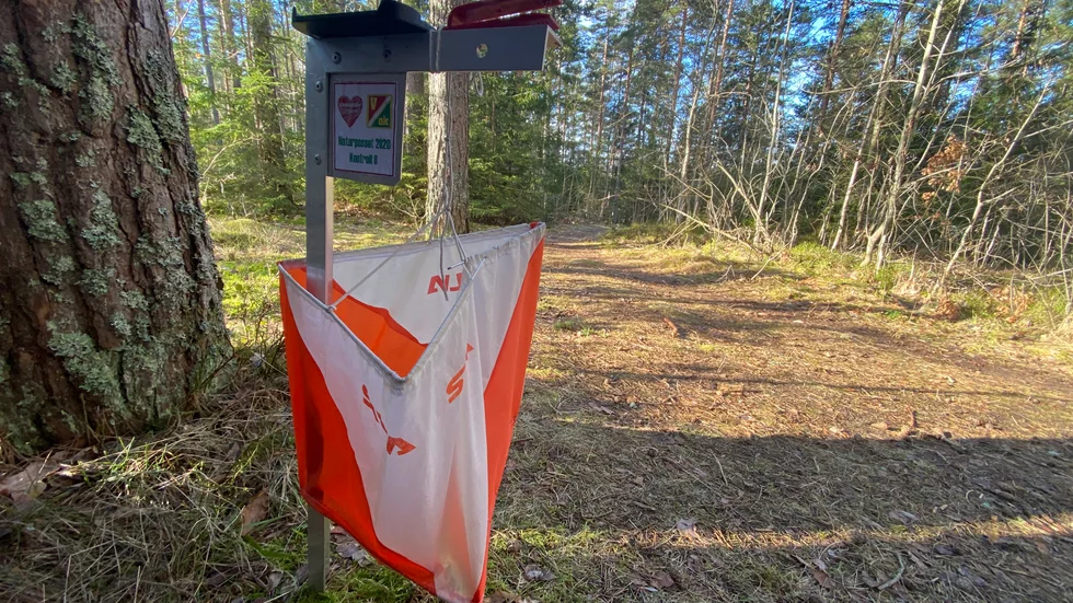 Flertalet Vimmerbylöpare ställde upp. 