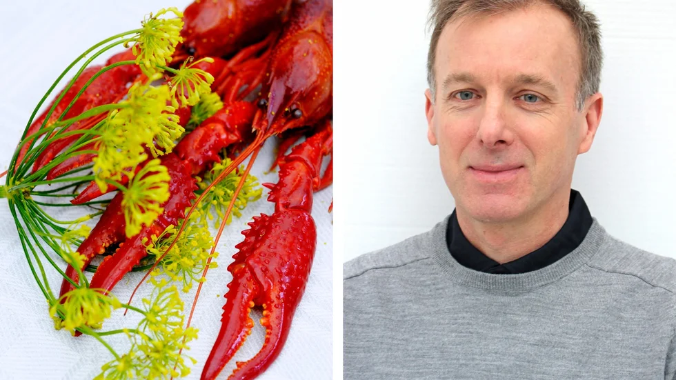 Vi vill uppmana alla att tänka till så att det blir en så smittsäker sammankomst som möjligt, säger Jens Raffelsberger, ställföreträdande smittskyddsläkare Region Östergötland, inför helgens kräftskivor.