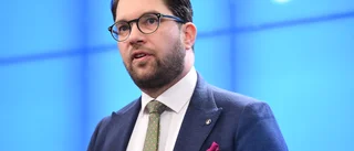 Sverigedemokraterna döljer farliga grundsatser