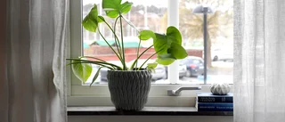 Omöjligt hyra lägenhet med skuldsanering?