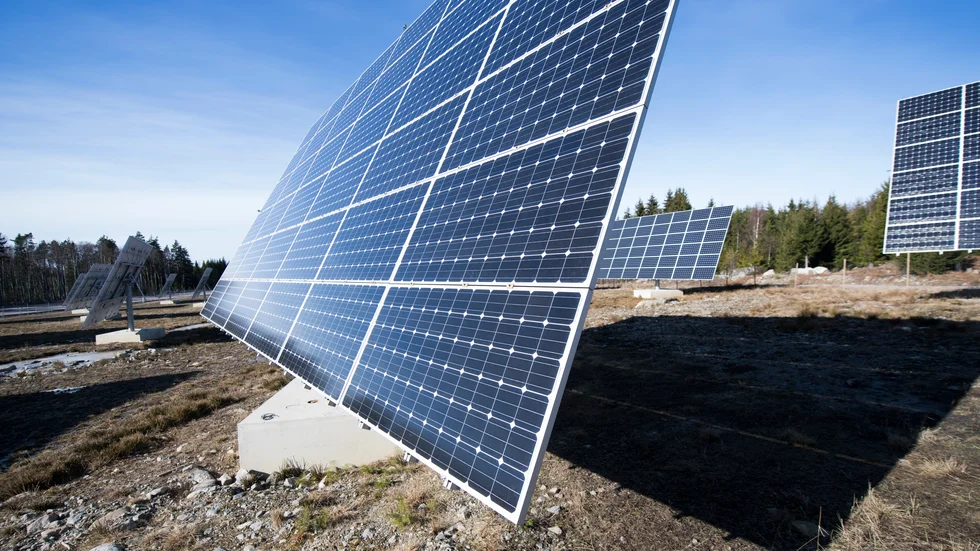 Skribenterna vill satsa mer på storskalig solenergi.