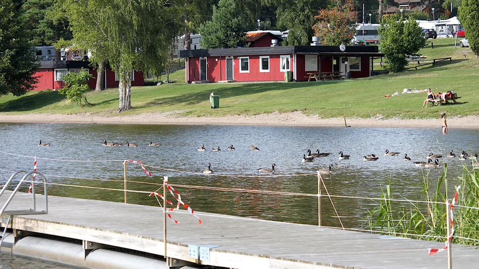Det senaste vattenprovet vid Bredsandsbadet har nu analyserats. Samtliga prover tas på samma plats, vid badbryggorna.
