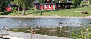 Färre bajsbakterier i nytt vattenprov