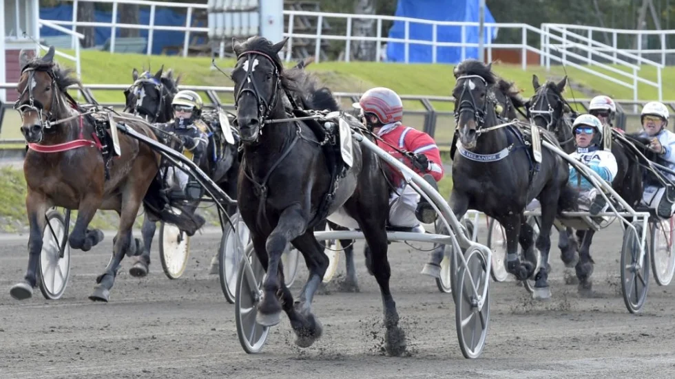 Kallblods SM 2020. Månlykke A.M. (Gunnar Melander) vinner SM samtidigt som 150-oddsaren Don Viking (Sandra Eriksson) fixar pallen och 125 000 kronor som sensationell tvåa.