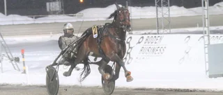 Världsstjärnan levererade i snöstormen på Bodentravet
