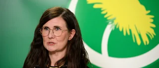 Stenevi om SD:s bidragsförslag: Cyniskt
