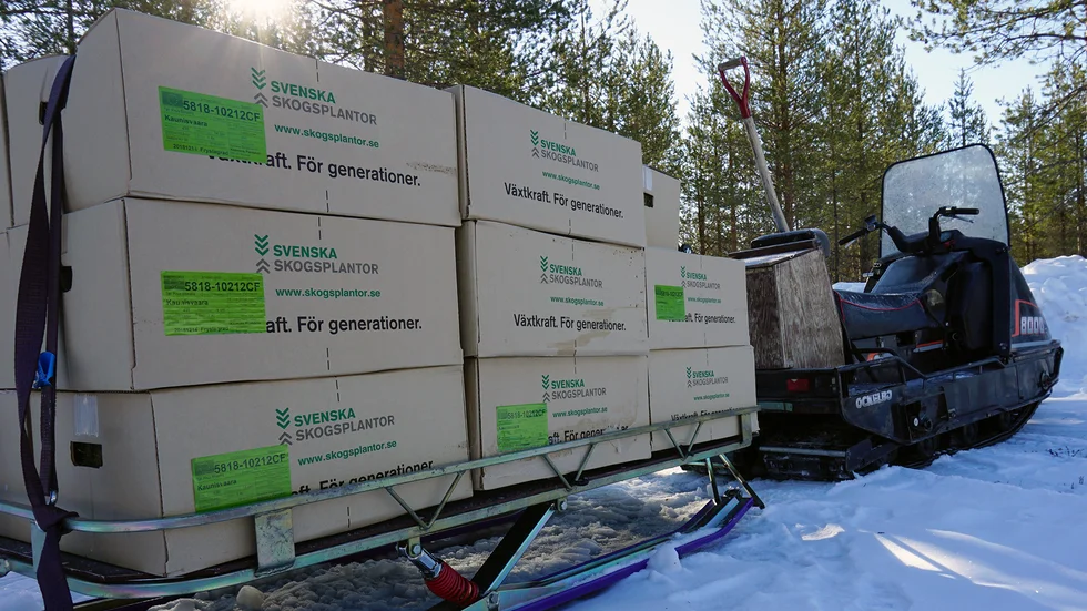 Att köra ut "skoterplantor" är smidigt när platsen är otillgänglig och långt från vägen eller till exempel på en ö.