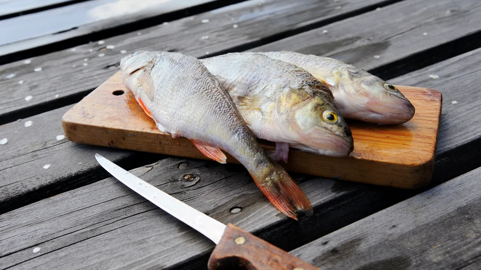 Det reformerade strandskyddet ger större möjligheter för verksamheter som behöver byggnader nära vatten, exempelvis för fisketurism eller strandnära caféverksamhet, skriver Karin Enström (M) med flera.