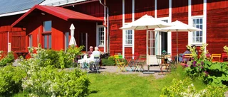 "Bästa rådet jag någonsin har fått"
