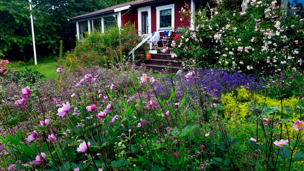 Kravet på karantän efter besök i egen stuga i Sverige är motiverat, slår en norsk domstol fast. Arkivbild.