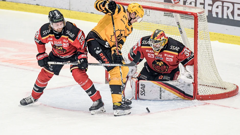Luleå-Skellefteå. En derbyklassiker som möts fyra gånger under SHL:s grundserie.