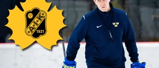 Tränaren presenterad av AIK: ”Oerhört inspirerande”