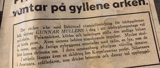 Häftiga fyndet i stugtaket • 