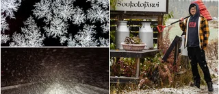 Snöchocken i Övertorneå • Nyinflyttade paret: "Vad fan har vi gjort?"