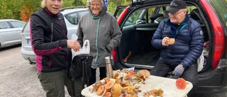 PRO Skurholmen på svampexkursion