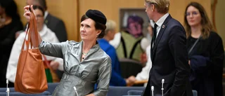 Regeringen ska utreda statliga mottagningscenter