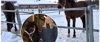 Dödsvirus skapar oro bland hästägare: "Otroligt smittsamt"