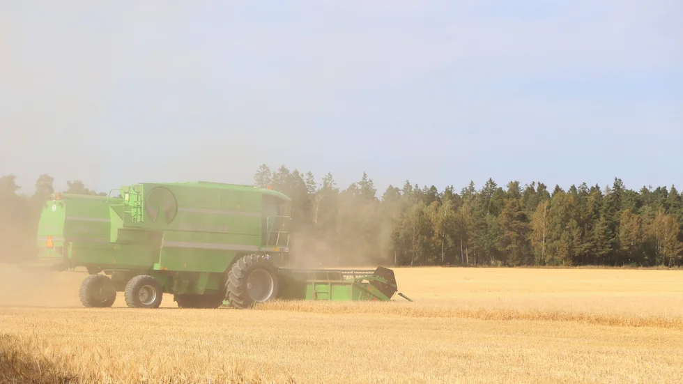 Växtodlarna är de största vinnarna under pandemiåret. Ökade priser på spannmål och baljväxter är en av orsakerna.
