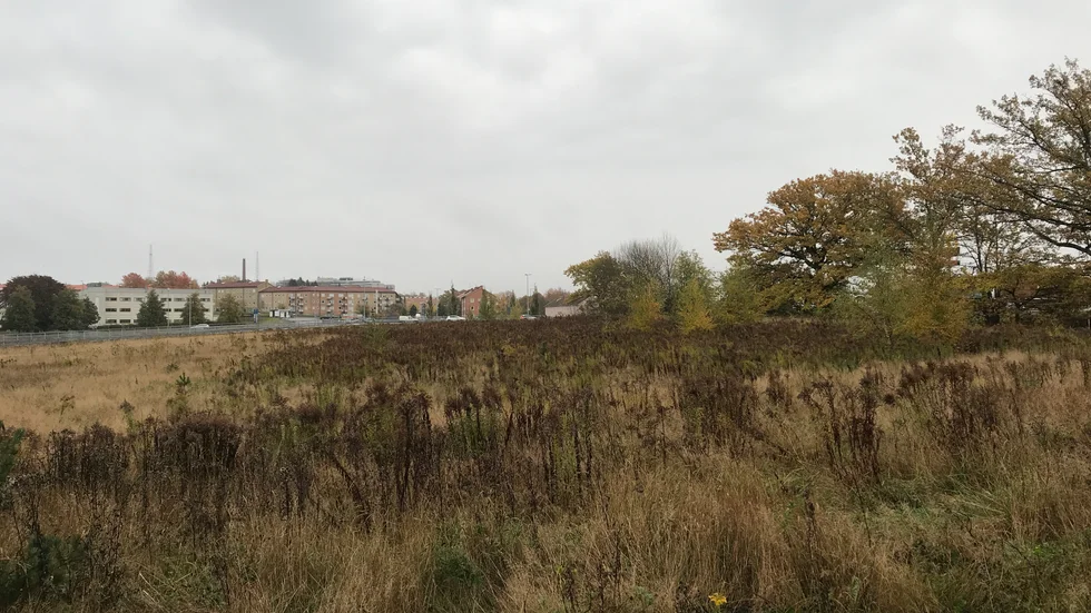 Behovsanalysen kring nya ishallar, som ska förläggas här intill riksväg 50 i Varamon, godkändes på torsdagen av en enig bildningsnämnd. Nu är förstudien nästa steg. Den ska godkännas av kommunstyrelsen i juni.
