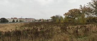Enig nämnd sade ja till behovsanalys