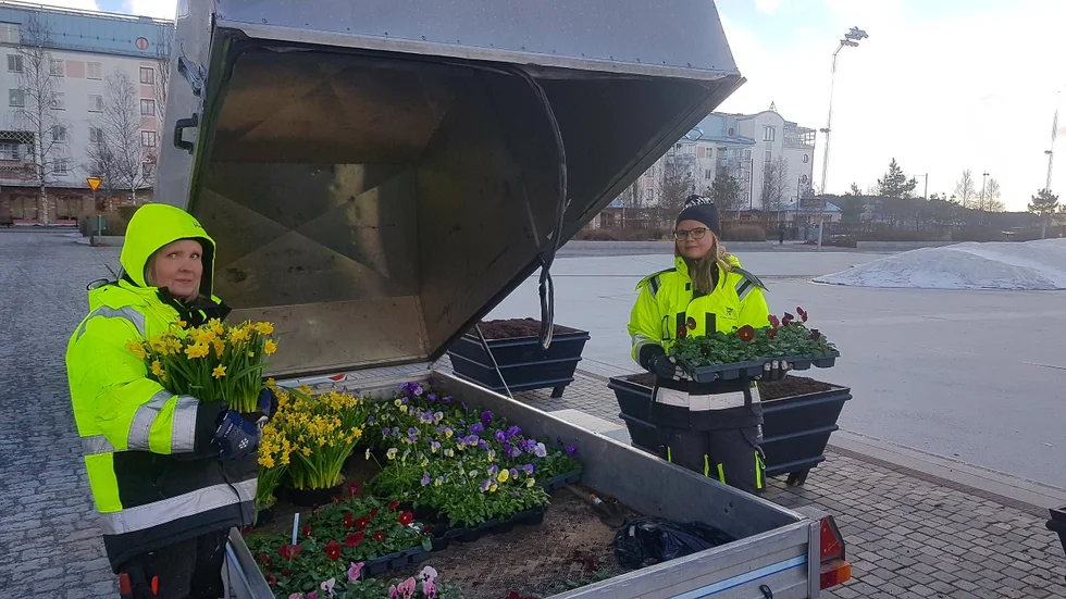Helene Rundlöf och Melinda Mietinen kämpade på i det kalla vädret men förhoppningsvis får både blommor och människor lite värme framöver.