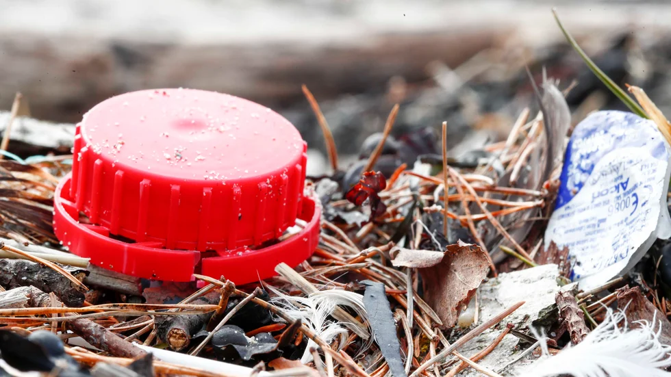 Det stora problemet med plastnedskräpningen i haven är att plasten inte försvinner, skriver Johanna Ragnartz, vd Håll Sverige Rent.