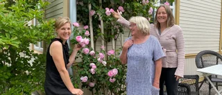 De vill ha folk i sina trädgårdar 