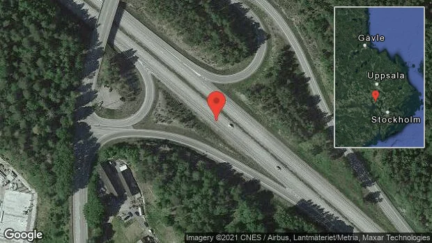 Rådjur på vägen på E18