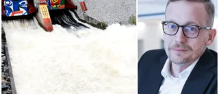 Experten: "Större variation för elpriser i framtiden"