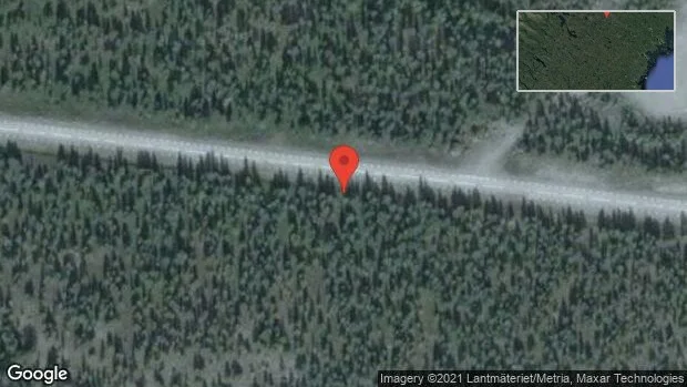 Renar på vägen på E45