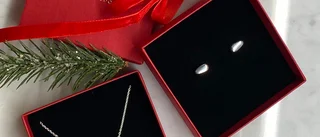 Stenkusten halsband och örhängen