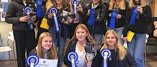 Hästkunskap gav grundplåt till inköp av häst