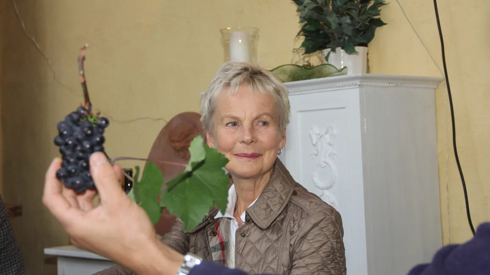 Östergötlands tidigare landshövding Elisabeth Nilsson har utrett gårdsförsäljning av alkoholhaltiga drycker. Dagens debattörer är inte helt nöjda med utredningens innehåll. 