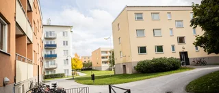 Gotlänningar har näst bäst grannar i landet enligt ny undersökning
