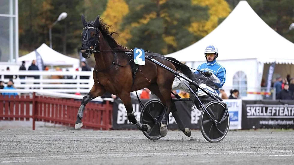 Selmer I.H slutade trea i lördagens gulddivision på Solänget.
