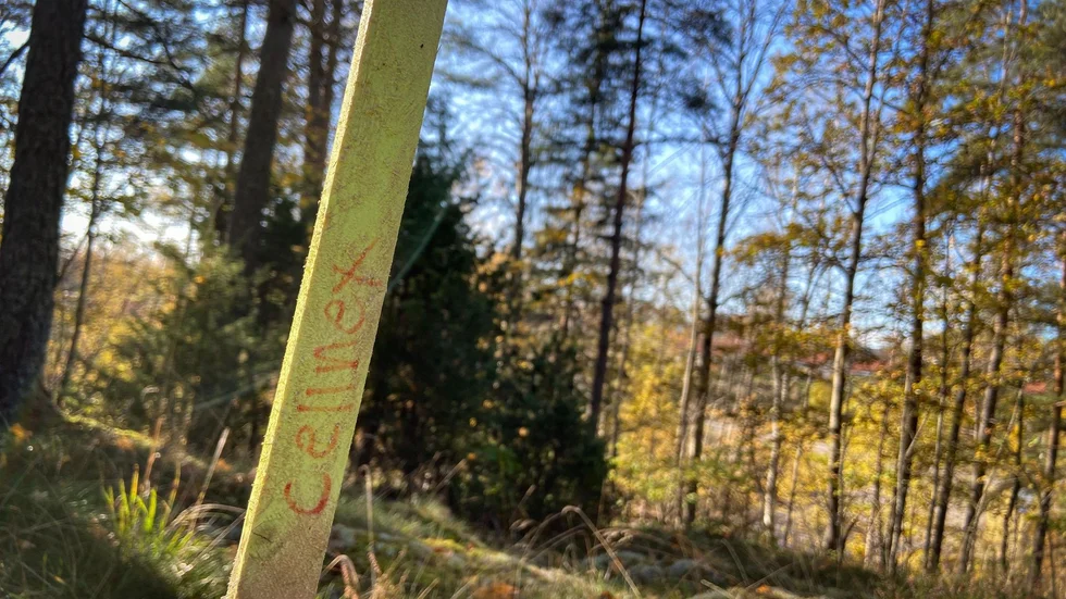 Platsen för mastbygget. Inledningsvis är tanken med masten att stötta upp det befintliga 3- och 4G-näten, men framöver skulle masten även kunnna vara en del av 5G-nätet. 