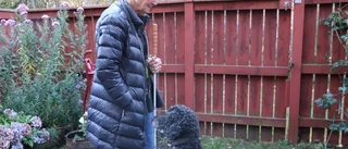 Västervik har blivit tystare – svårighet för synskadade • Britt-Marie, 81: "Behöver ljuden för att ta mig fram"