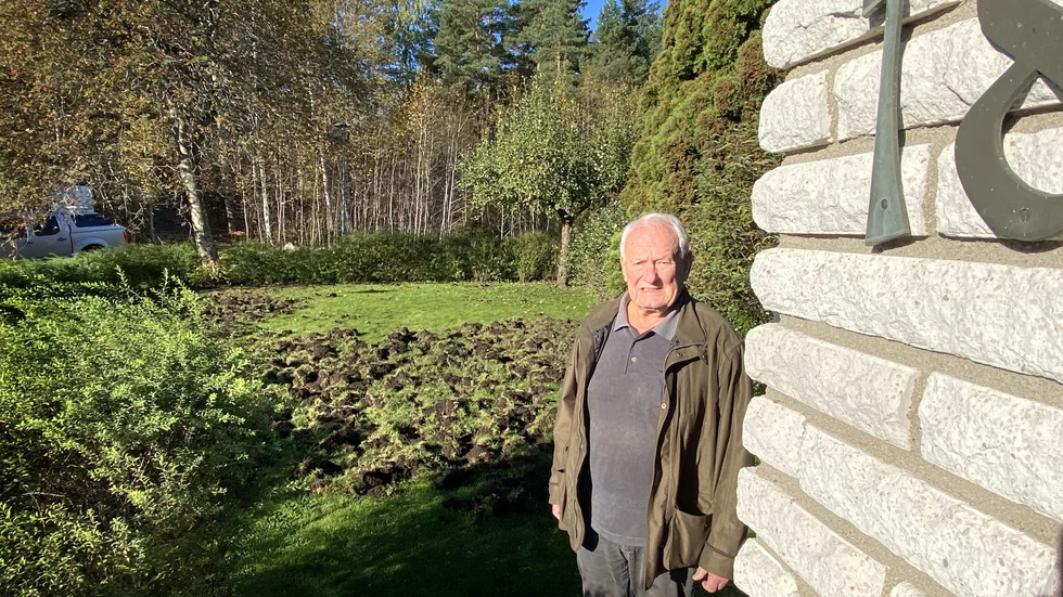 "Rådjur, harar och som nu i natt älg i jakt på päron, det är en sak. En armé av vildsvin något annat", säger Leendert Janson på Kantarellstigen, granne med Södra stadsskogen.