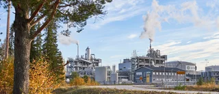 Brist på råvaror trissar upp dieselpriser – men fabriken i Piteå kan växa: "Våra ägare vill ha mycket mer"