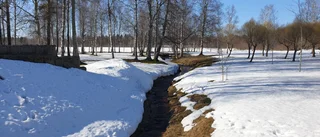 Läsarbilden: det porlar av vår