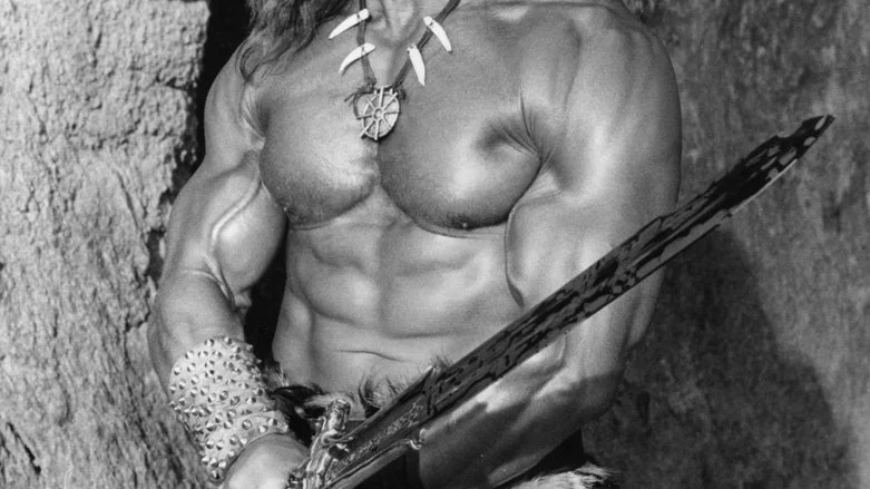 Arnold Schwarzenegger spelade Conan i två filmer, Conan The Barbarian (1982) och Conan The Destroyer (1984).