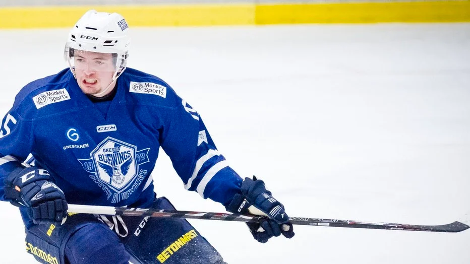 Morgan Söderström och hans kedjekamrater Ludwig Nordlie och Carl Löfberg fick beröm av Gnestatränaren efter matchen mot Solna SK.