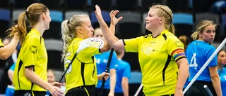 Bara förluster för Södermanland i distrikts-SM
