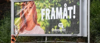 ”Mer makt i mitten ger mer närodlad politik”