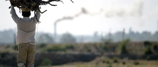 Debatt: ”Utsatt jordbruk behöver stöd för klimatåtgärder”