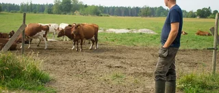 Regnet har gett bönderna nytt hopp
