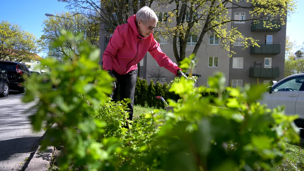 Norrköping är den kommun i Östergötland med högst andel pensionärer som får bostadstillägg.